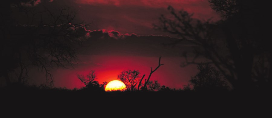 Sunsets in Madikwe are spectacular.