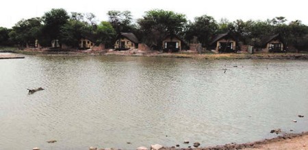 Tau Game lodge chalets as seen from across the waterhole.