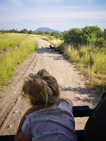 Teaching kids about wildlife