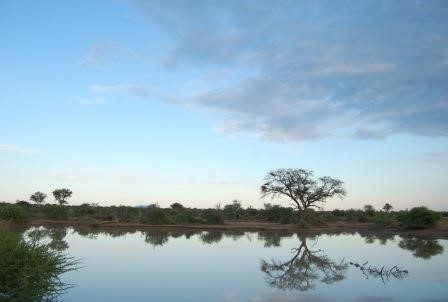Flooding in Madikwe