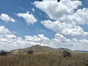 Madikwe Landscape