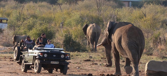 Tau Big 5 Game Viewing